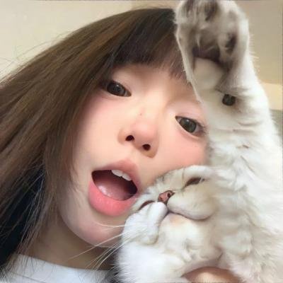 败犬女主太多了!