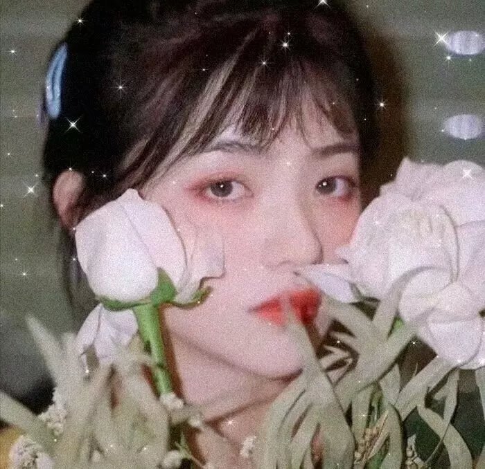 如果我是间谍